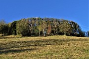 CANTO ALTO in direttissima la prima volta per sentieri insoliti da sopra casa-Zogno (8apr21) - FOTOGALLERY